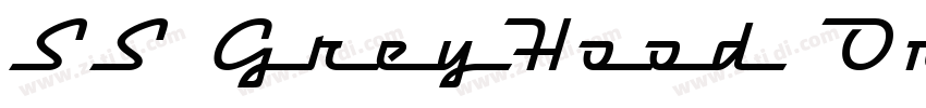 SS GreyHood One字体转换